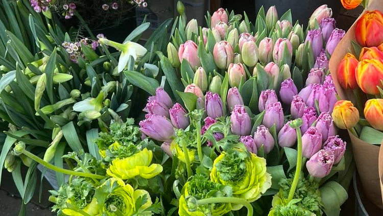 Creative Floral Mastery
